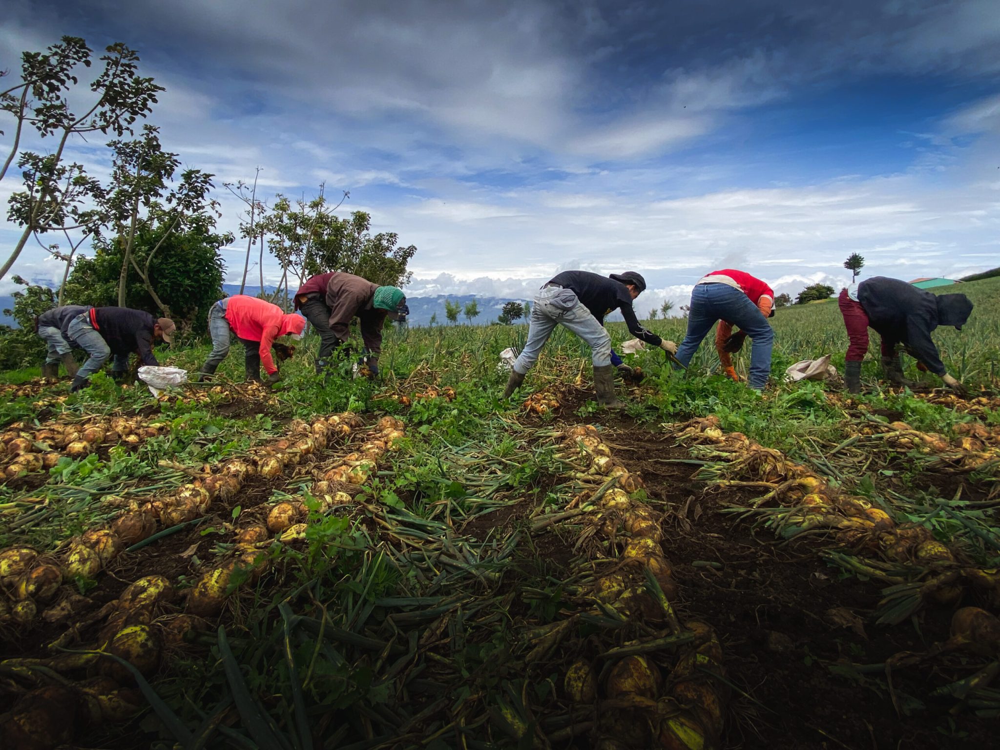 20.06.2024-2048x1536