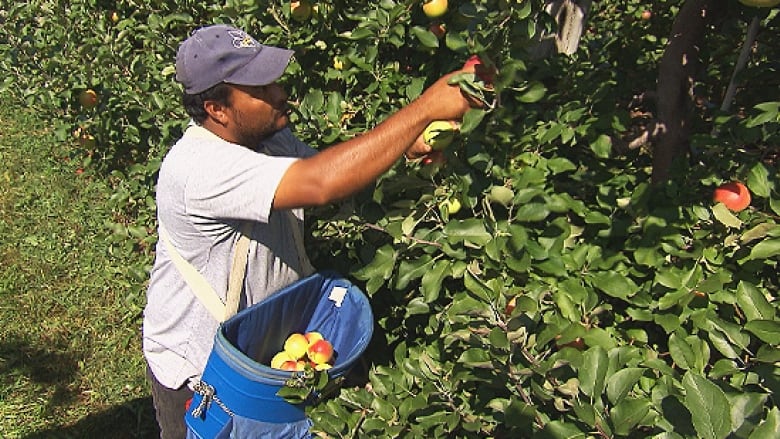 Requirements for foreign workers in Canada have been temporarily reduced
